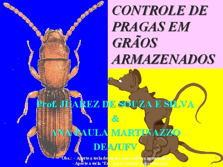 CONTROLE DE PRAGAS EM GRÃOS ARMAZENADOS Prof. JUAREZ DE SOUZA E SILVA & ANA CONTROLE DE PRAGAS EM GRÃOS ARMAZENADOS Prof. JUAREZ DE SOUZA E SILVA & ANA