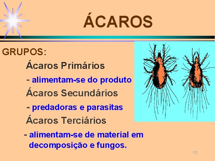 ÁCAROS GRUPOS: Ácaros Primários - alimentam-se do produto Ácaros Secundários - predadoras e parasitas ÁCAROS GRUPOS: Ácaros Primários - alimentam-se do produto Ácaros Secundários - predadoras e parasitas