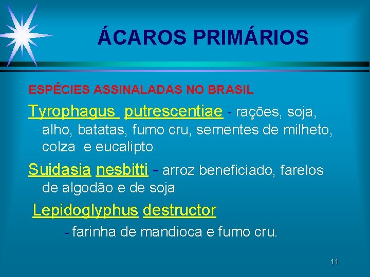 ÁCAROS PRIMÁRIOS ESPÉCIES ASSINALADAS NO BRASIL Tyrophagus putrescentiae - rações, soja, alho, batatas, fumo ÁCAROS PRIMÁRIOS ESPÉCIES ASSINALADAS NO BRASIL Tyrophagus putrescentiae - rações, soja, alho, batatas, fumo
