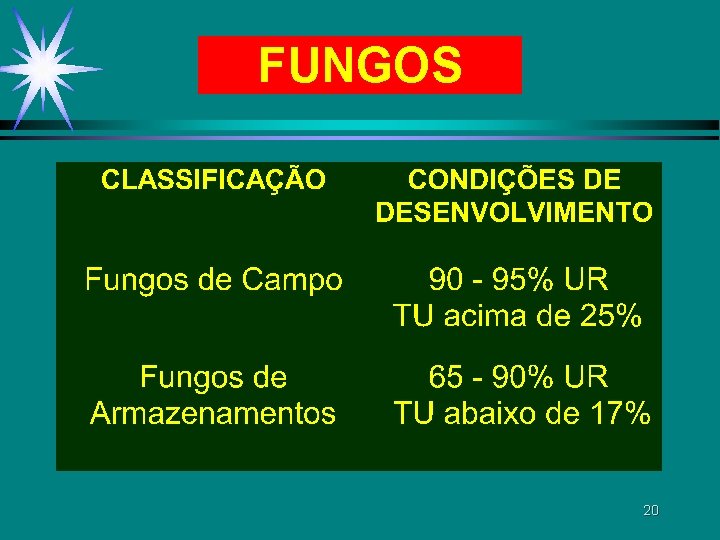 FUNGOS 20 FUNGOS 20