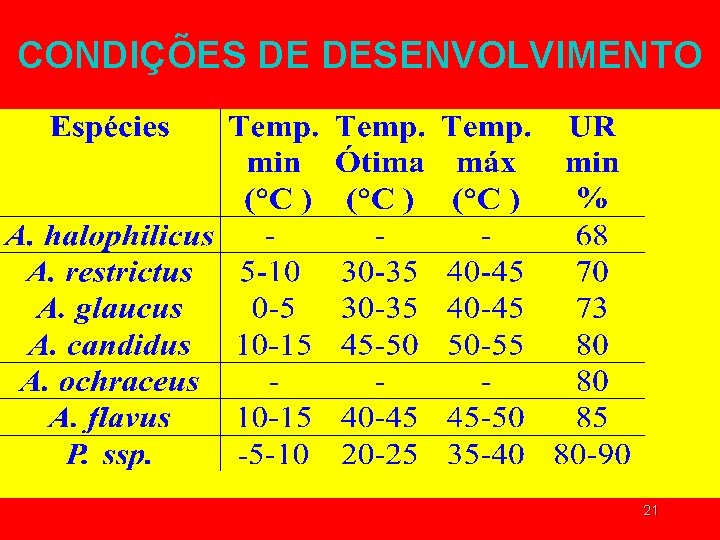 CONDIÇÕES DE DESENVOLVIMENTO 21 CONDIÇÕES DE DESENVOLVIMENTO 21