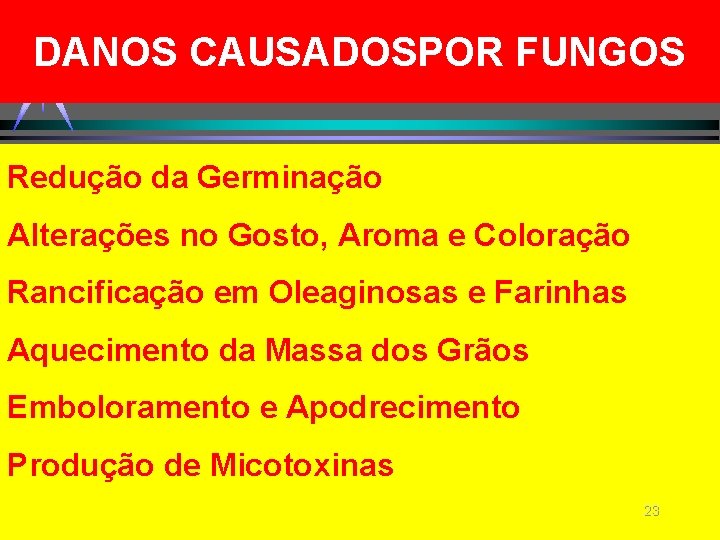 DANOS CAUSADOSPOR FUNGOS Redução da Germinação Alterações no Gosto, Aroma e Coloração Rancificação em DANOS CAUSADOSPOR FUNGOS Redução da Germinação Alterações no Gosto, Aroma e Coloração Rancificação em