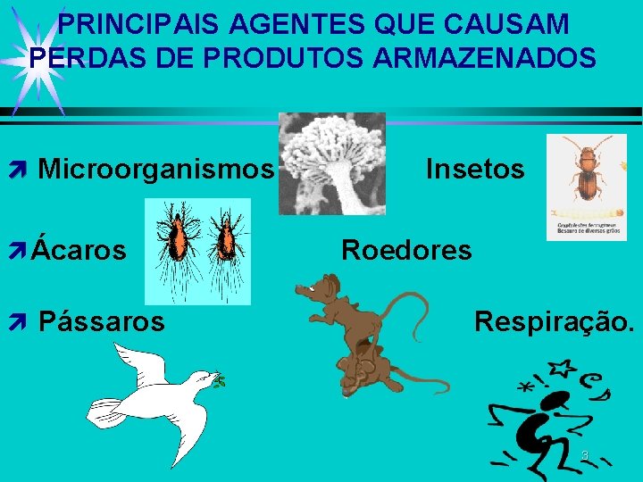 PRINCIPAIS AGENTES QUE CAUSAM PERDAS DE PRODUTOS ARMAZENADOS ì Microorganismos ì Ácaros ì Pássaros PRINCIPAIS AGENTES QUE CAUSAM PERDAS DE PRODUTOS ARMAZENADOS ì Microorganismos ì Ácaros ì Pássaros