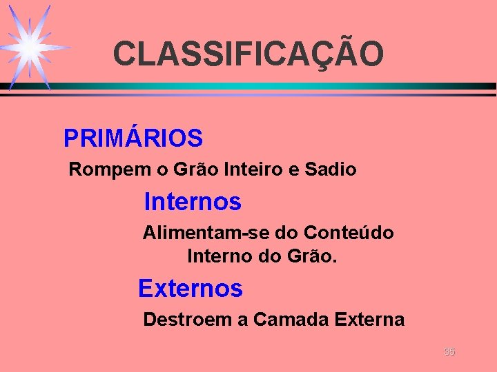 CLASSIFICAÇÃO PRIMÁRIOS Rompem o Grão Inteiro e Sadio Internos Alimentam-se do Conteúdo Interno do CLASSIFICAÇÃO PRIMÁRIOS Rompem o Grão Inteiro e Sadio Internos Alimentam-se do Conteúdo Interno do