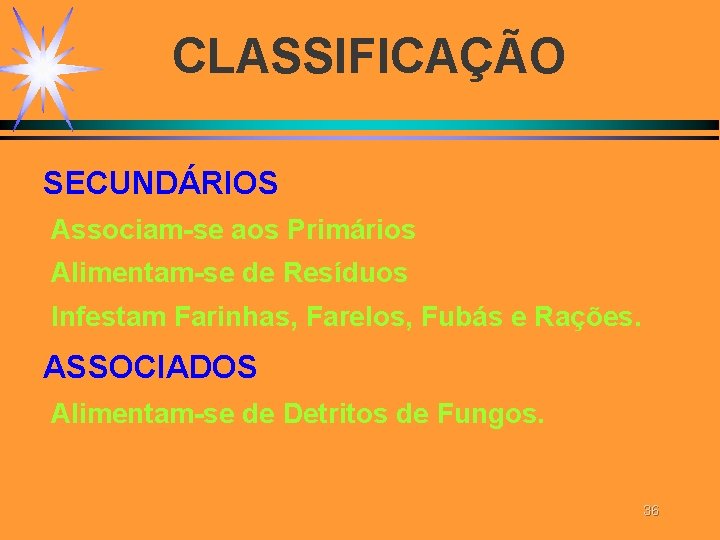 CLASSIFICAÇÃO SECUNDÁRIOS Associam-se aos Primários Alimentam-se de Resíduos Infestam Farinhas, Farelos, Fubás e Rações. CLASSIFICAÇÃO SECUNDÁRIOS Associam-se aos Primários Alimentam-se de Resíduos Infestam Farinhas, Farelos, Fubás e Rações.