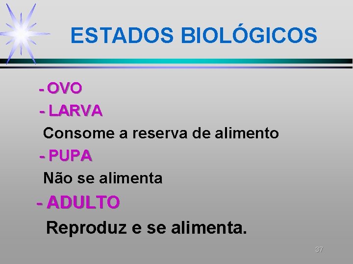 ESTADOS BIOLÓGICOS - OVO - LARVA Consome a reserva de alimento - PUPA Não ESTADOS BIOLÓGICOS - OVO - LARVA Consome a reserva de alimento - PUPA Não
