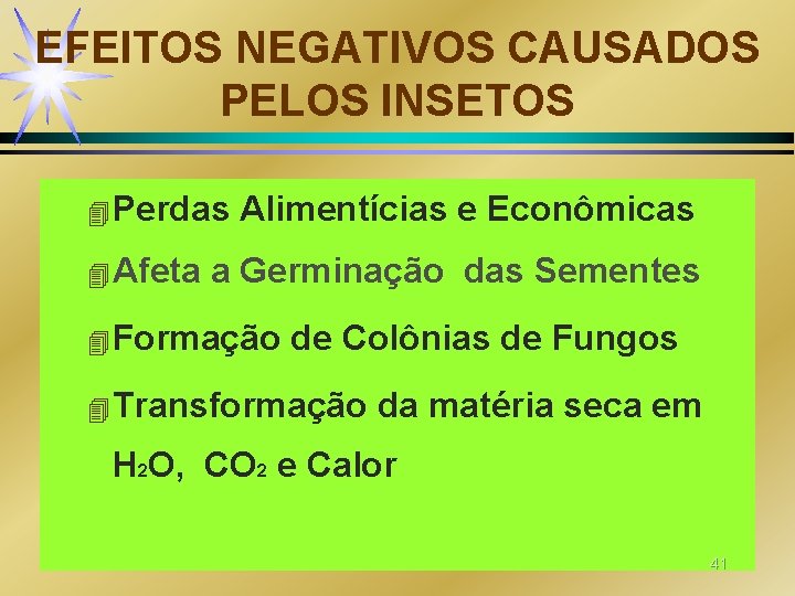 EFEITOS NEGATIVOS CAUSADOS PELOS INSETOS 4 Perdas 4 Afeta Alimentícias e Econômicas a Germinação EFEITOS NEGATIVOS CAUSADOS PELOS INSETOS 4 Perdas 4 Afeta Alimentícias e Econômicas a Germinação