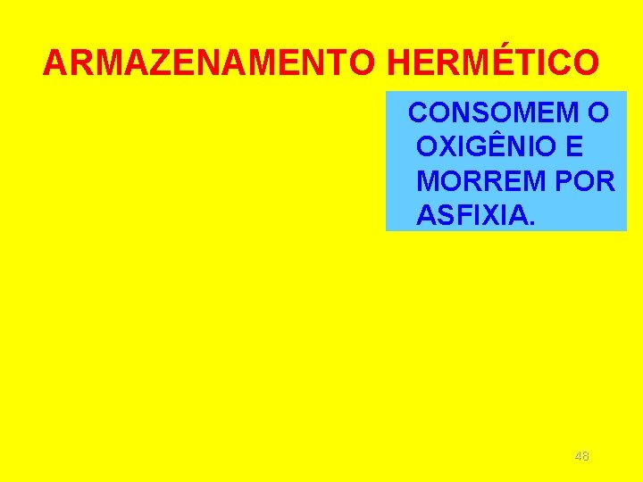 ARMAZENAMENTO HERMÉTICO CONSOMEM O OXIGÊNIO E MORREM POR ASFIXIA. 48 ARMAZENAMENTO HERMÉTICO CONSOMEM O OXIGÊNIO E MORREM POR ASFIXIA. 48