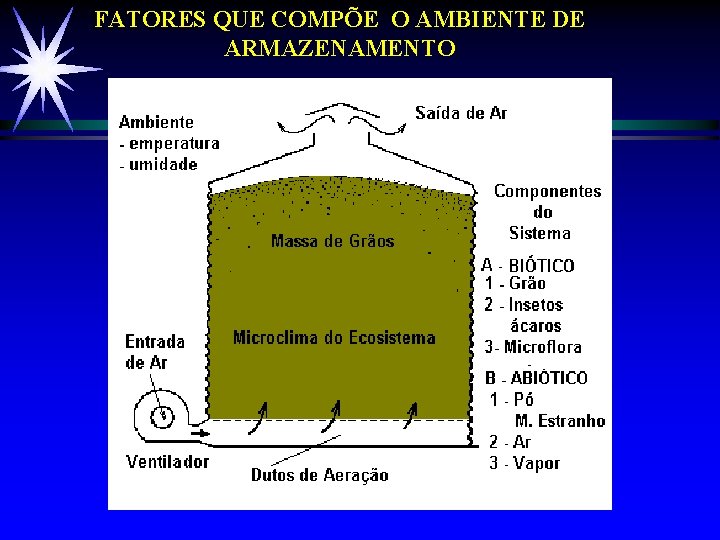 FATORES QUE COMPÕE O AMBIENTE DE ARMAZENAMENTO FATORES QUE COMPÕE O AMBIENTE DE ARMAZENAMENTO