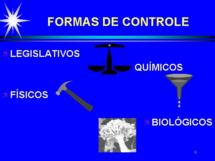 FORMAS DE CONTROLE ä LEGISLATIVOS QUÍMICOS ä FÍSICOS ä BIOLÓGICOS 6 FORMAS DE CONTROLE ä LEGISLATIVOS QUÍMICOS ä FÍSICOS ä BIOLÓGICOS 6