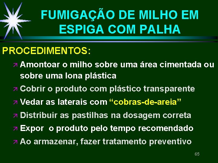 FUMIGAÇÃO DE MILHO EM ESPIGA COM PALHA PROCEDIMENTOS: ä Amontoar o milho sobre uma FUMIGAÇÃO DE MILHO EM ESPIGA COM PALHA PROCEDIMENTOS: ä Amontoar o milho sobre uma