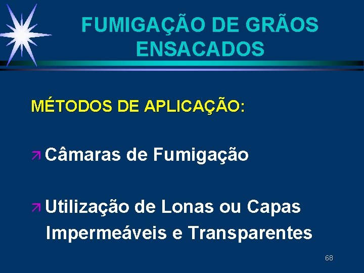 FUMIGAÇÃO DE GRÃOS ENSACADOS MÉTODOS DE APLICAÇÃO: ä Câmaras de Fumigação ä Utilização de FUMIGAÇÃO DE GRÃOS ENSACADOS MÉTODOS DE APLICAÇÃO: ä Câmaras de Fumigação ä Utilização de