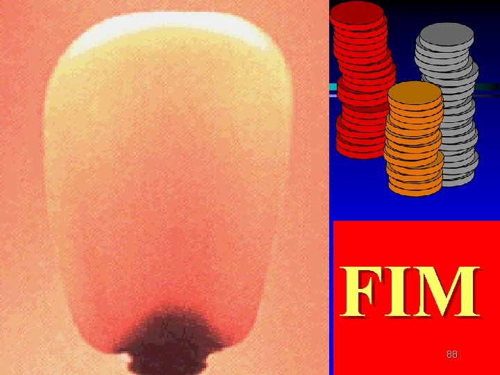 FIM 88 FIM 88