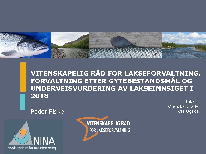 VITENSKAPELIG RÅD FOR LAKSEFORVALTNING, FORVALTNING ETTER GYTEBESTANDSMÅL OG UNDERVEISVURDERING AV LAKSEINNSIGET I 2018 Peder