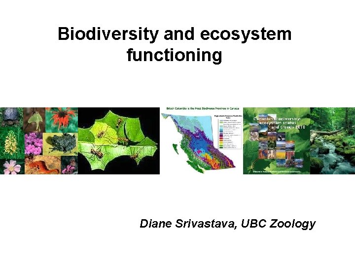 Biodiversity and ecosystem functioning Diane Srivastava, UBC Zoology 