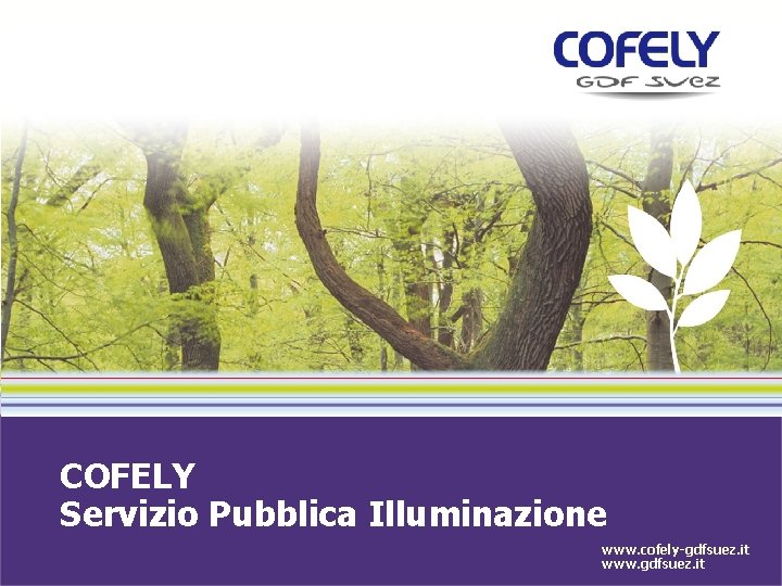 COFELY Servizio Pubblica Illuminazione www. cofely-gdfsuez. it www. gdfsuez. it 