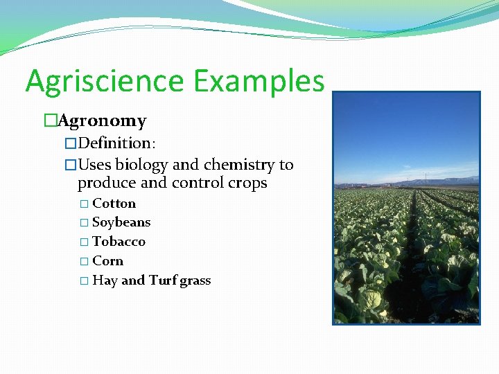 Agriscience Examples �Agronomy �Definition: �Uses biology and chemistry to produce and control crops �