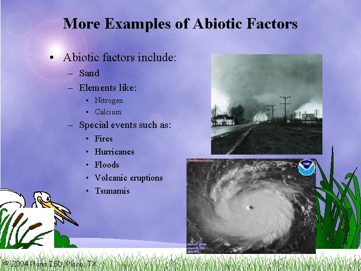 More Examples of Abiotic Factors • Abiotic factors include: – Sand – Elements like: