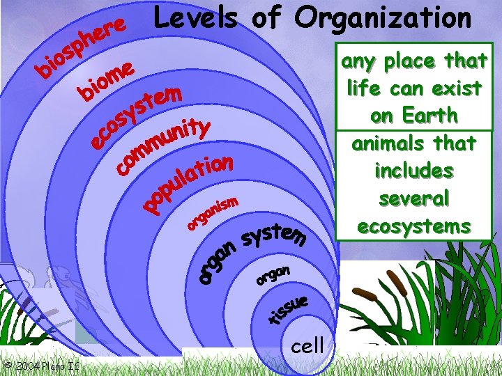 Levels of Organization living and any all one all smallest group interacting organisms place