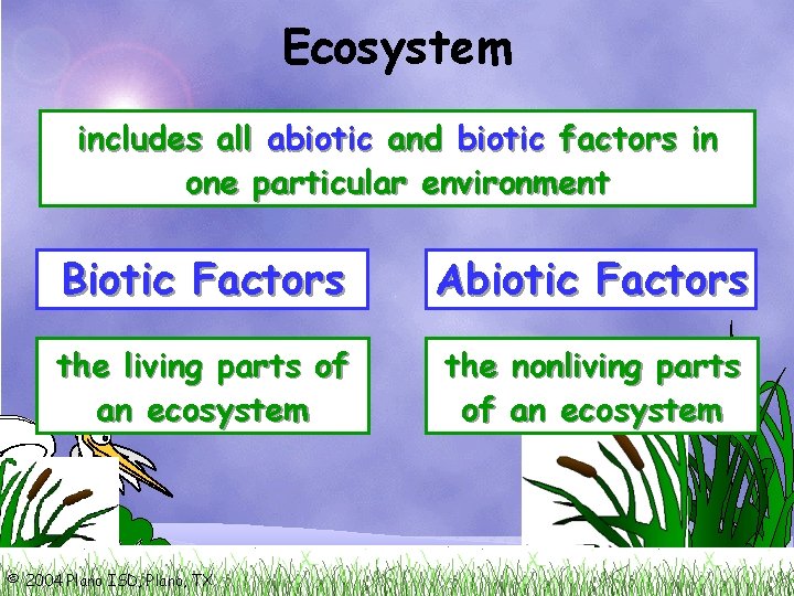 Ecosystem includes all abiotic and biotic factors in one particular environment Biotic Factors Abiotic