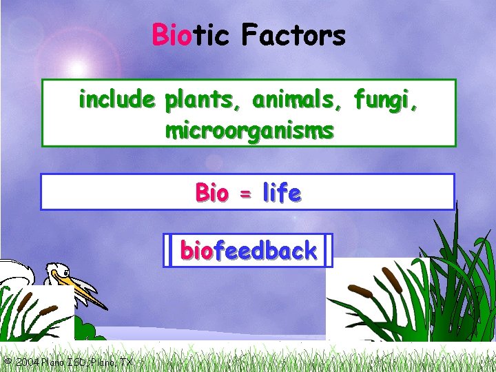 Bio Biotic Factors include plants, animals, fungi, microorganisms Bio = life bio bio technology