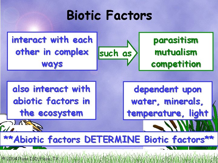 Biotic Factors interact with each other in complex such as ways also interact with