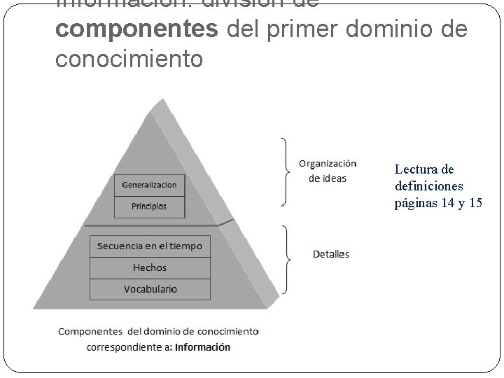 Información: división de componentes del primer dominio de conocimiento Lectura de definiciones páginas 14