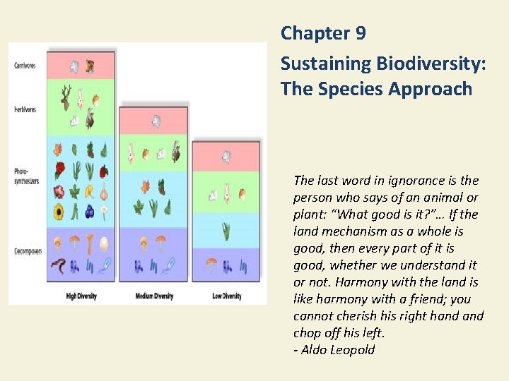 Chapter 9 Sustaining Biodiversity: The Species Approach The last word in ignorance is the