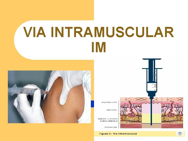 VIA INTRAMUSCULAR IM VIA INTRAMUSCULAR IM