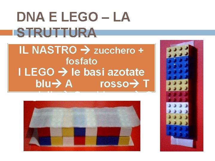 DNA E LEGO – LA STRUTTURA IL NASTRO zucchero + fosfato I LEGO le