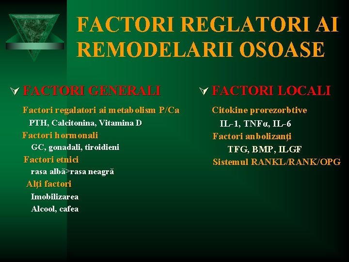 FACTORI REGLATORI AI REMODELARII OSOASE Ú FACTORI GENERALI Factori regalatori ai metabolism P/Ca PTH,