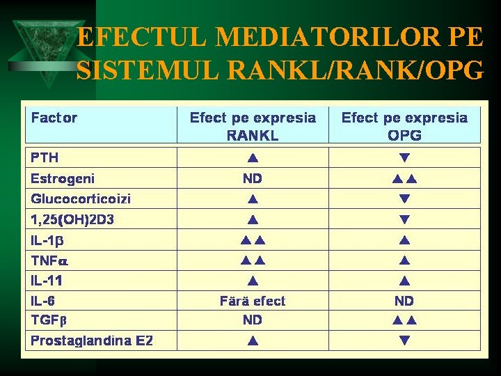 EFECTUL MEDIATORILOR PE SISTEMUL RANKL/RANK/OPG 