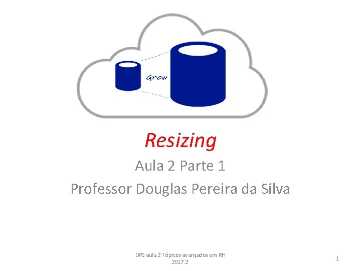 Resizing Aula 2 Parte 1 Professor Douglas Pereira da Silva DPS aula 2 Tópicos