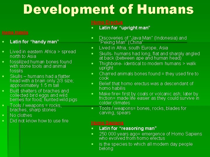 Development of Humans Homo Habilis § Latin for “handy man” § Lived in eastern