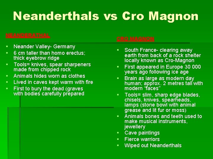 Neanderthals vs Cro Magnon NEANDERATHAL § Neander Valley- Germany § 6 cm taller than