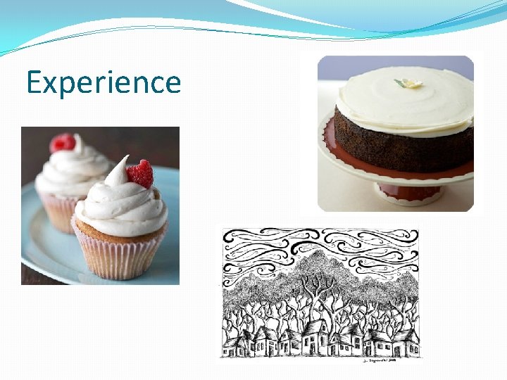 Experience 