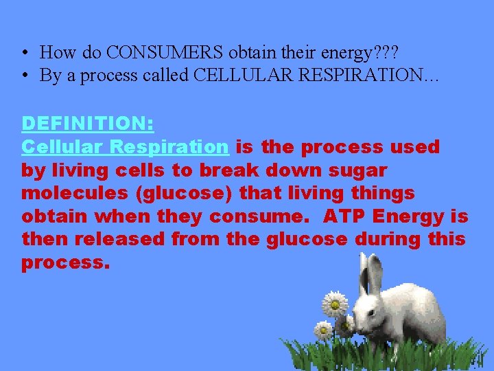  • How do CONSUMERS obtain their energy? ? ? • By a process