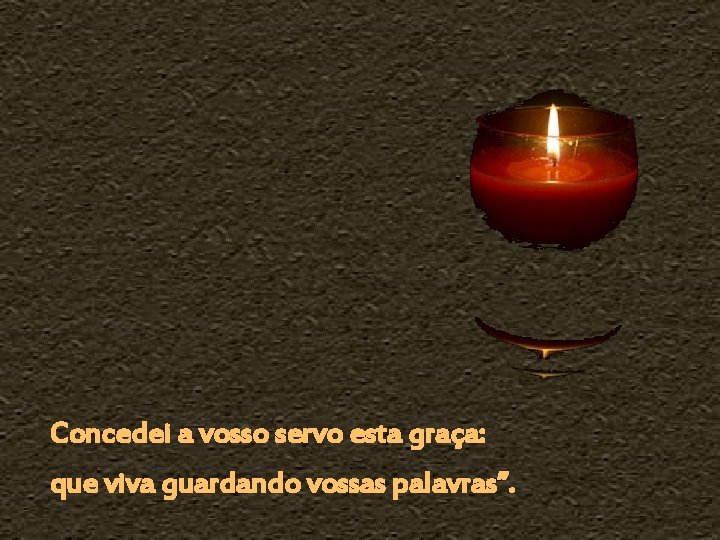 Concedei a vosso servo esta graça: que viva guardando vossas palavras”. 