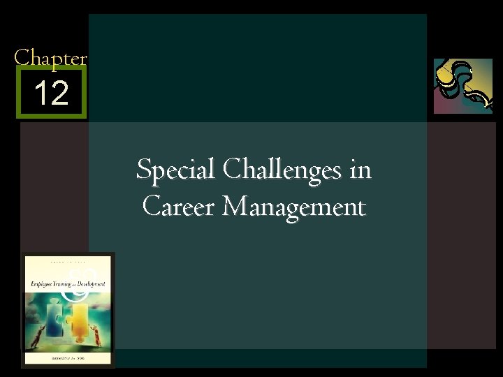 Chapter 12 Special Challenges in Career Management Mc. Graw-Hill/Irwin © 2005 The Mc. Graw-Hill