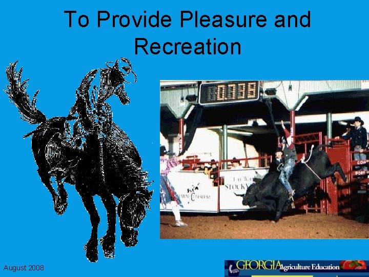 To Provide Pleasure and Recreation August 2008 