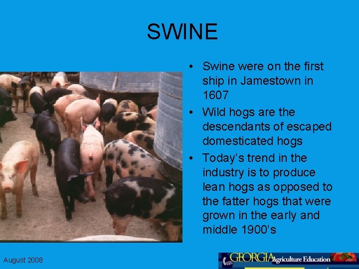 SWINE • Swine were on the first ship in Jamestown in 1607 • Wild