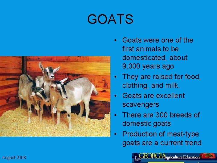 GOATS • Goats were one of the first animals to be domesticated, about 9,