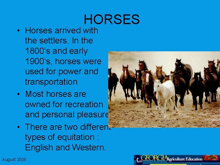 HORSES • Horses arrived with the settlers. In the 1800’s and early 1900’s, horses