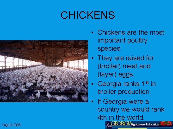 CHICKENS • Chickens are the most important poultry species • They are raised for