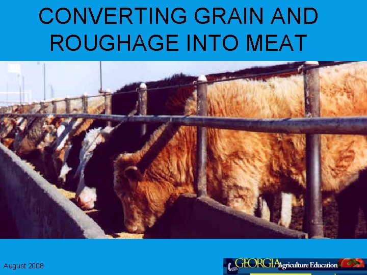 CONVERTING GRAIN AND ROUGHAGE INTO MEAT August 2008 