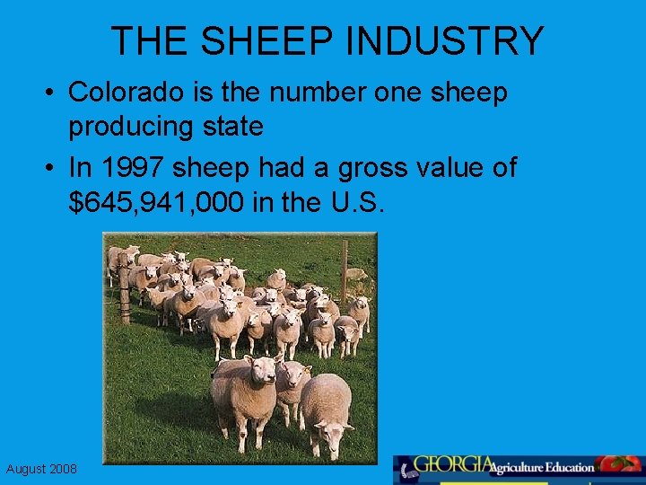 THE SHEEP INDUSTRY • Colorado is the number one sheep producing state • In