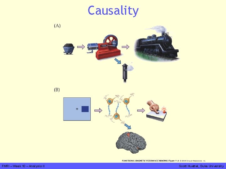 Causality FMRI – Week 10 – Analysis II Scott Huettel, Duke University 