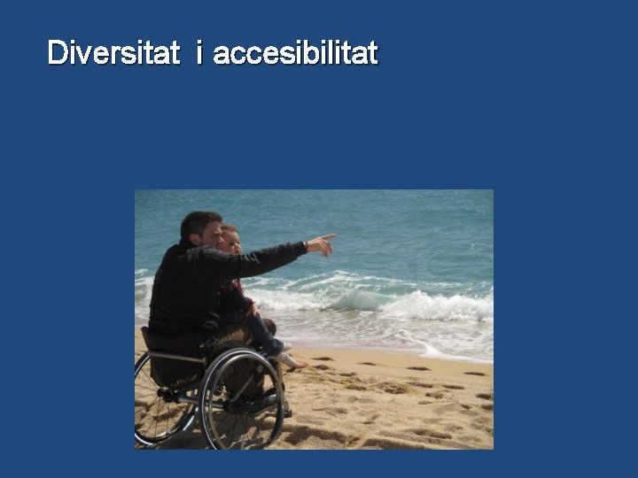 Diversitat i accesibilitat 