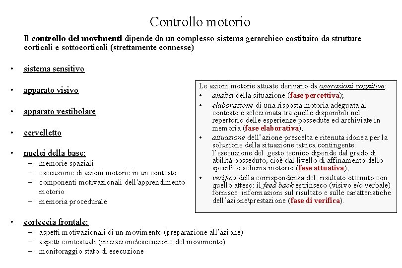 Controllo motorio Il controllo dei movimenti dipende da un complesso sistema gerarchico costituito da