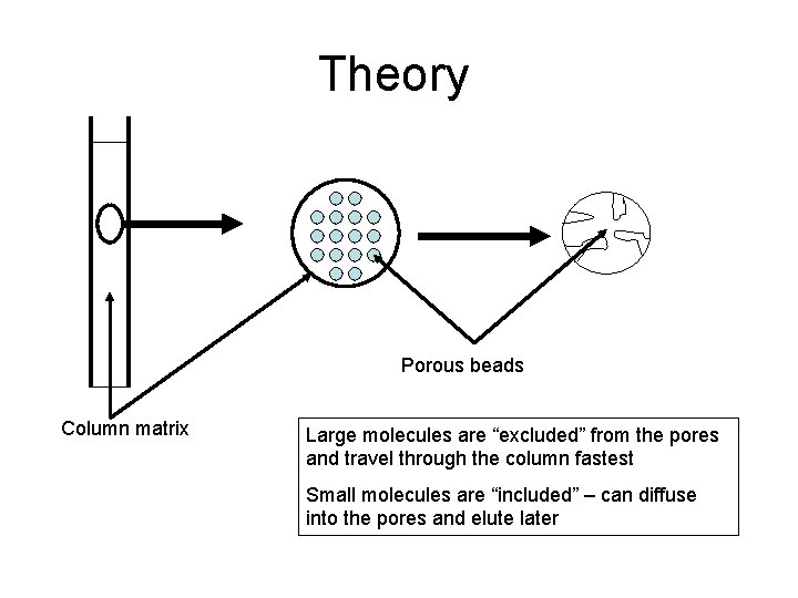 Theory Porous beads Column matrix Large molecules are “excluded” from the pores and travel